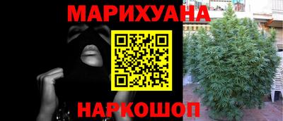 PSILOCYBIN Заводоуковск