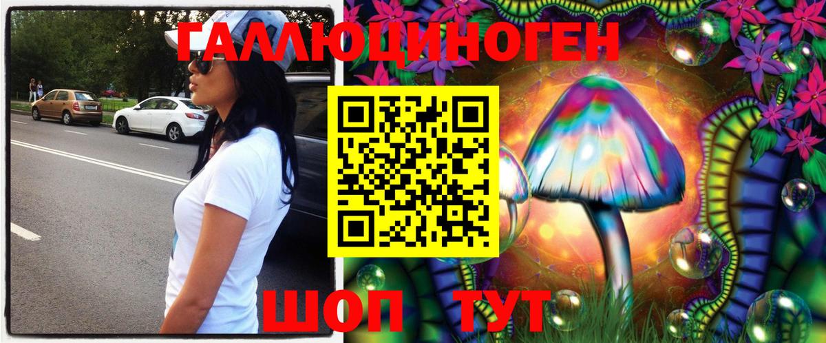 Мариинск  Псилоцибиновые грибы Psilocybe  Вход с VPN 